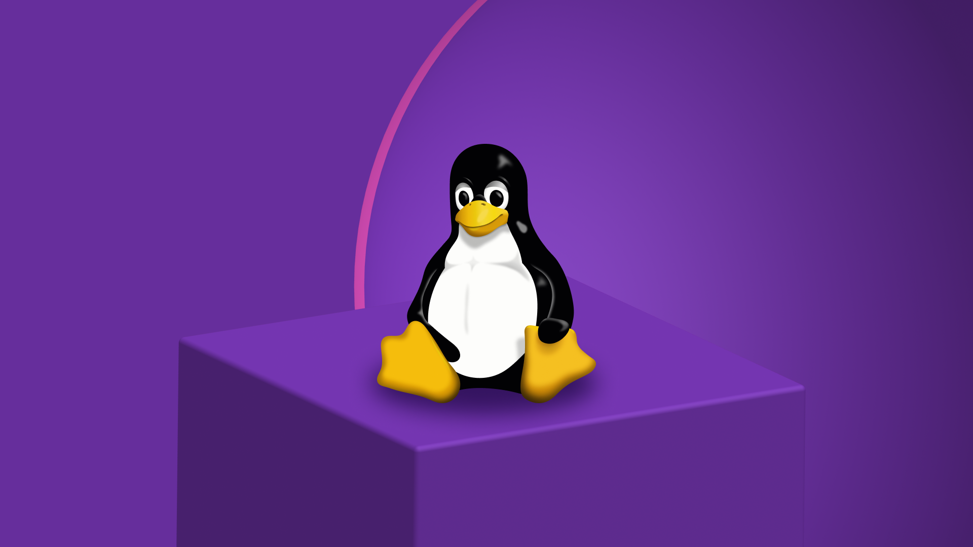 Linux, but which Linux?